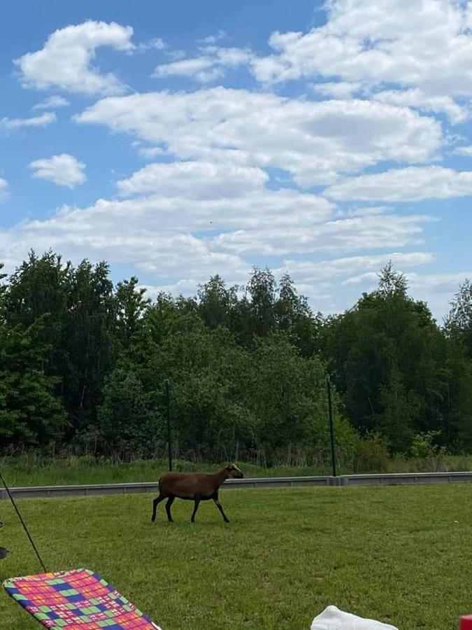 Gosp. Agroturystyczne Stary Gaj Vila Zerkowice Exterior foto