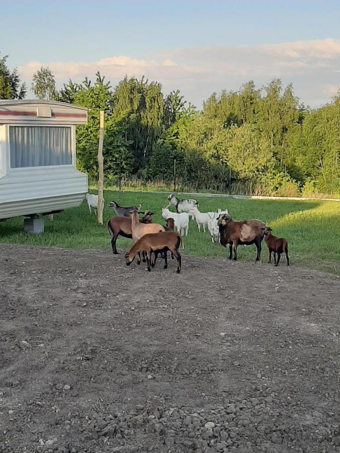 Gosp. Agroturystyczne Stary Gaj Vila Zerkowice Exterior foto