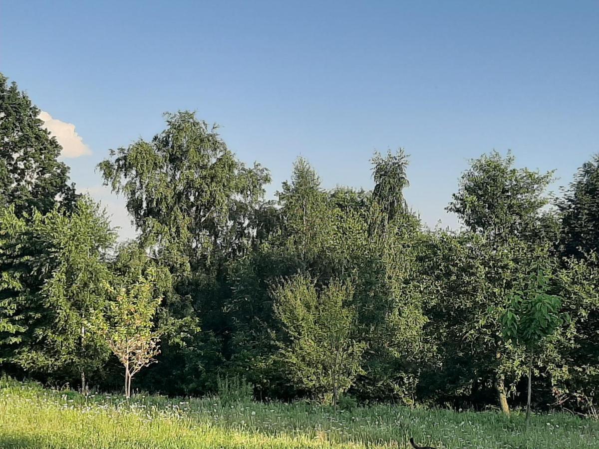 Gosp. Agroturystyczne Stary Gaj Vila Zerkowice Exterior foto